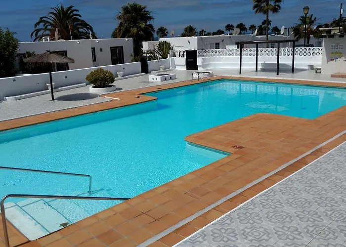 Gran Piscina & Terraza